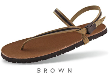 Alpha Adventure, Brown