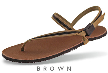 Circadian Adventure, Brown